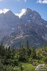 Bull Moose Cascade Canyon 081219 3142 3