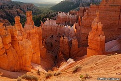DBryce0041