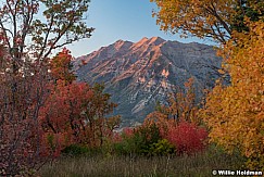 Maple Frames Timpanogos 093022 0004