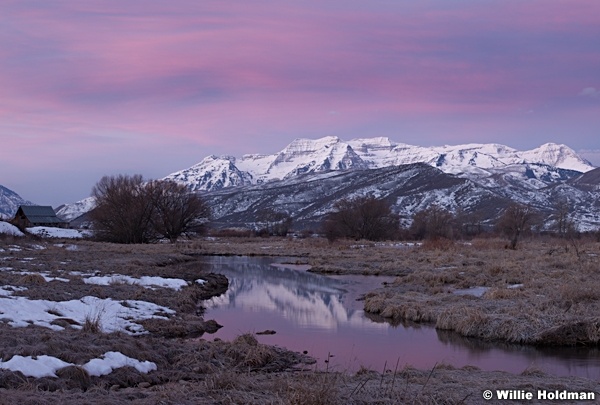 Timpanogos Pinks 030613