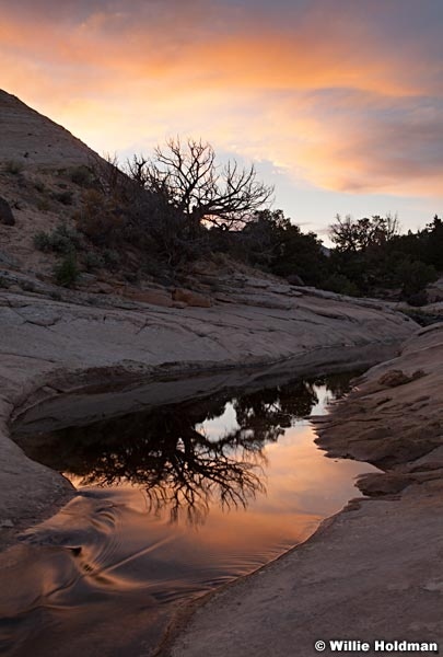 Boulder Creek 052113 4942
