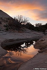 Boulder Creek 052113 4942