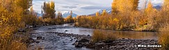 Yellows Provo River 18x60