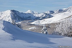 Frostypinesdeervalley8122410 411