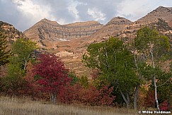 Timpanogos Red Maples 092220 0116 2