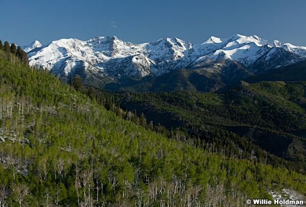Wasatch Snow Spring 052812 94