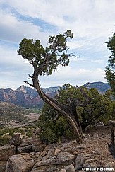 Book Cliffs Range Creek  050121 5117