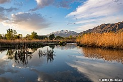 Timpanogos Reflection 043020 2