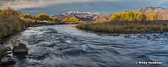Provo River Fall Cottonwoods 103115