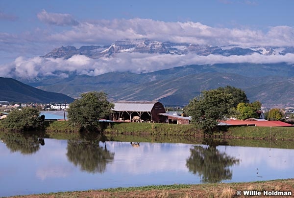 Heber Dairy Farm 082215 2