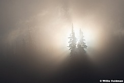 Fog Sun Rays 120125 2