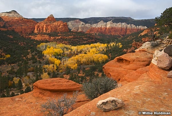 sandcreekautumn101307 1188