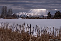 Timpanogos Rays Cattails 031108 5064