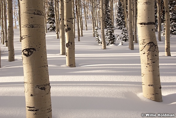 Deervalleyaspens020210_0228
