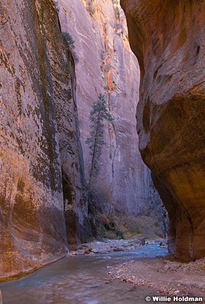 Zion Narrows 110519 3869 2