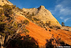 Sandstone Swirls Kanab 032012 162