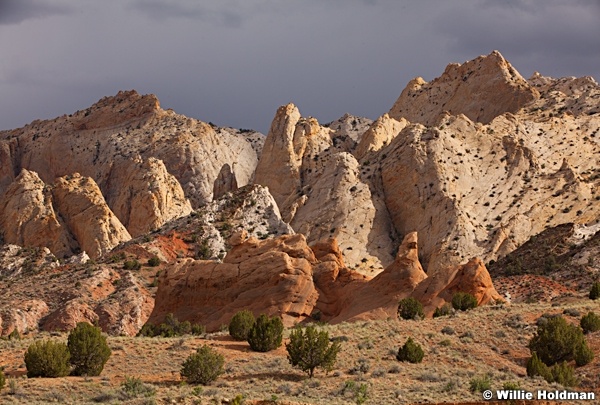 Capital Reef 051913 2622