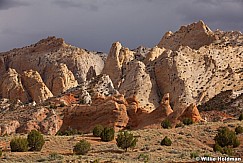 Capital Reef 051913 2622