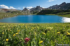 Ice Lake Paintbrush 070924 7164 3