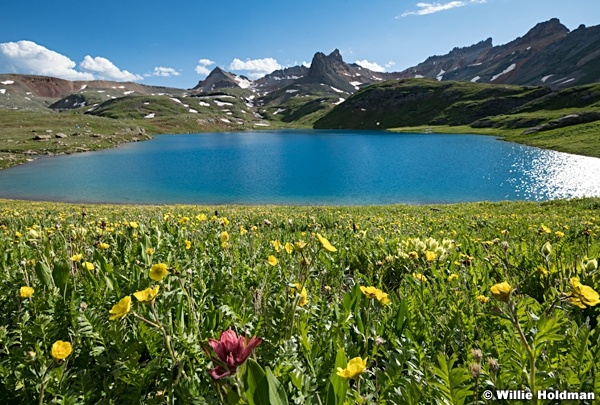 Ice Lake Paintbrush 070924 7164 3