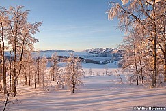 timpglowdeervalley122410 130