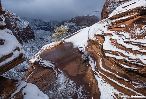 Zion Overlook Snow 022623 3904