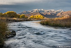 Silver Provo River Timp 103115 1377 3