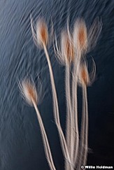 Abstractthisel 65