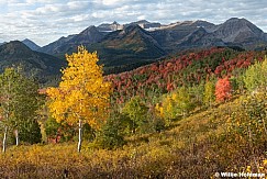 Timpanogos Autumn Yellow Aspen Colors 092625