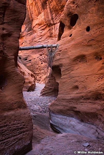 Escalante Choprock Canyon 060516 0896 2