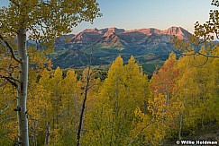 Orange Yellow Aspens Timp 100322 0511