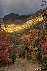 Timpanogos Sun Autumn 091416 2473