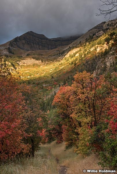Timpanogos Sun Autumn 091416 2473