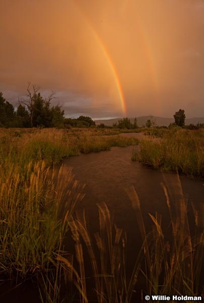 Provo River rays 073112 435
