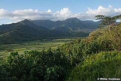 Green Fields Kauai Pano 101621 5348