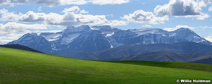 Green Pasture Heber 011426 3546