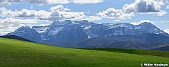 Green Pasture Heber 011426 3546