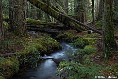 Ramona Waterfall Oregon 110714 7637