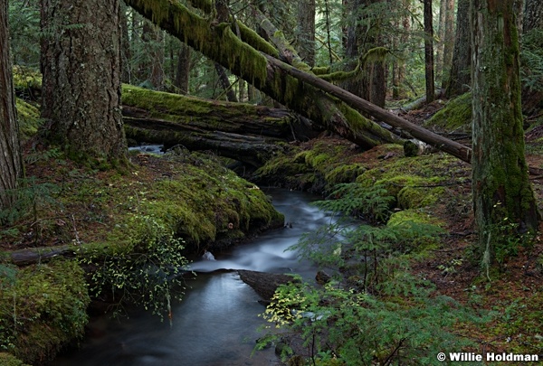 Ramona Waterfall Oregon 110714 7637