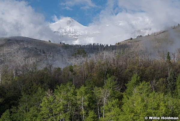 Timpanogos Breaking Clouds 052421 2008