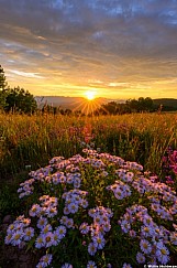Summer Breeze Makes Me Feel Good 071726