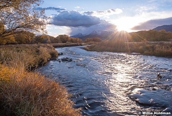 Provo River Cottonwoods 103018 6760 3