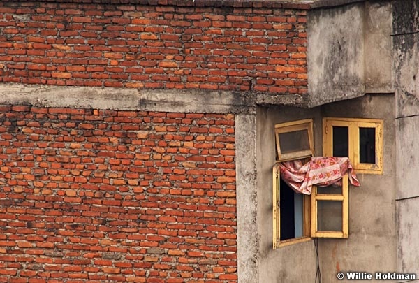 Window051809 9820