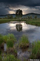 midwayaspenpond 1379