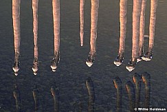 217000005609
