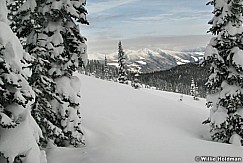 winter020808 IMG 06493