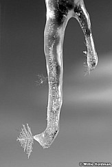 Iceboot010309 1479BW