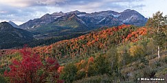 Red Maples Dusting Timp 093019 tif