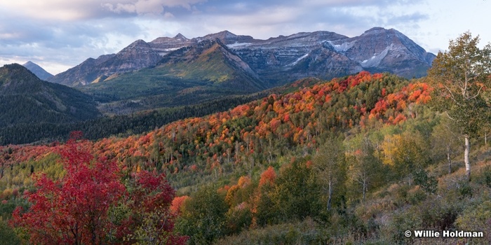 Red Maples Dusting Timp 093019 tif