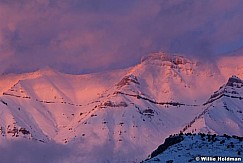 pinktimpclouds120107tif
